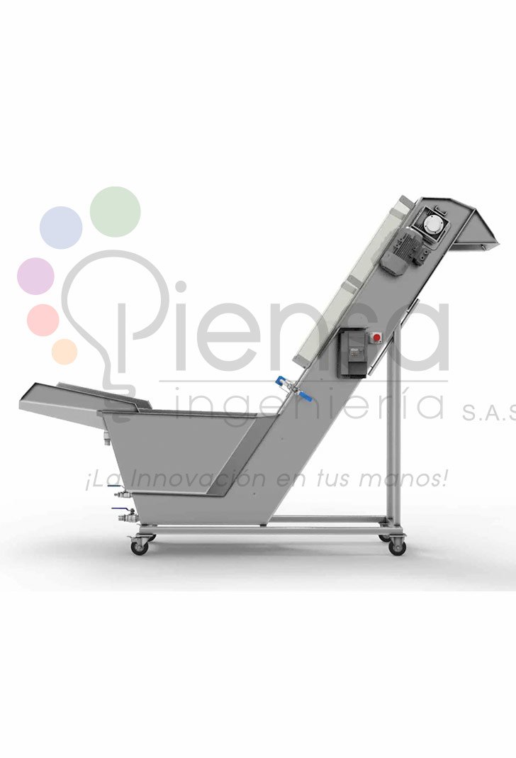 LAVADORA INDUSTRIAL Y ALIMENTADORA DE FRUTAS - Imagen 4
